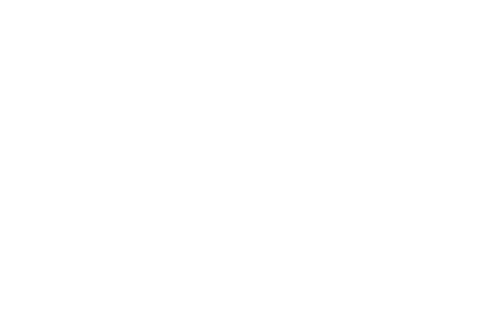 ZENDATA CYBERSECURITY logo
